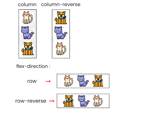 CSS Flex Fundamentals: Learn the Basics