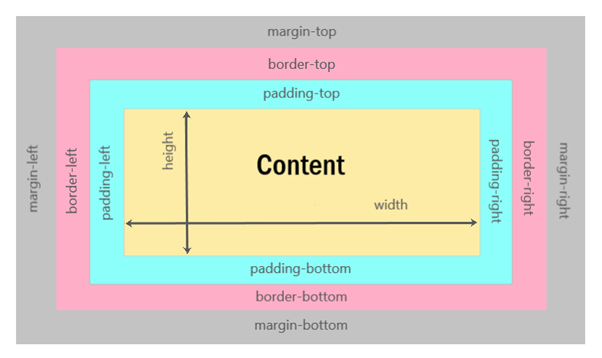 What is the CSS Box Model? A Beginner's Introduction