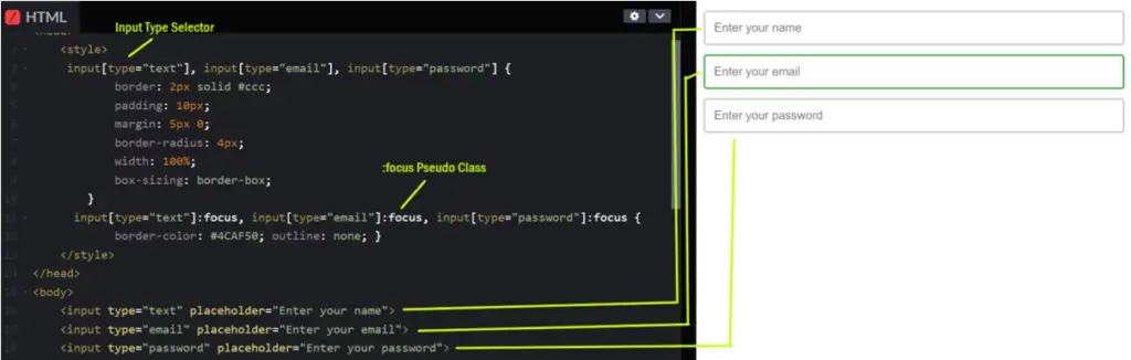 css-form-Styling-Input-Fields