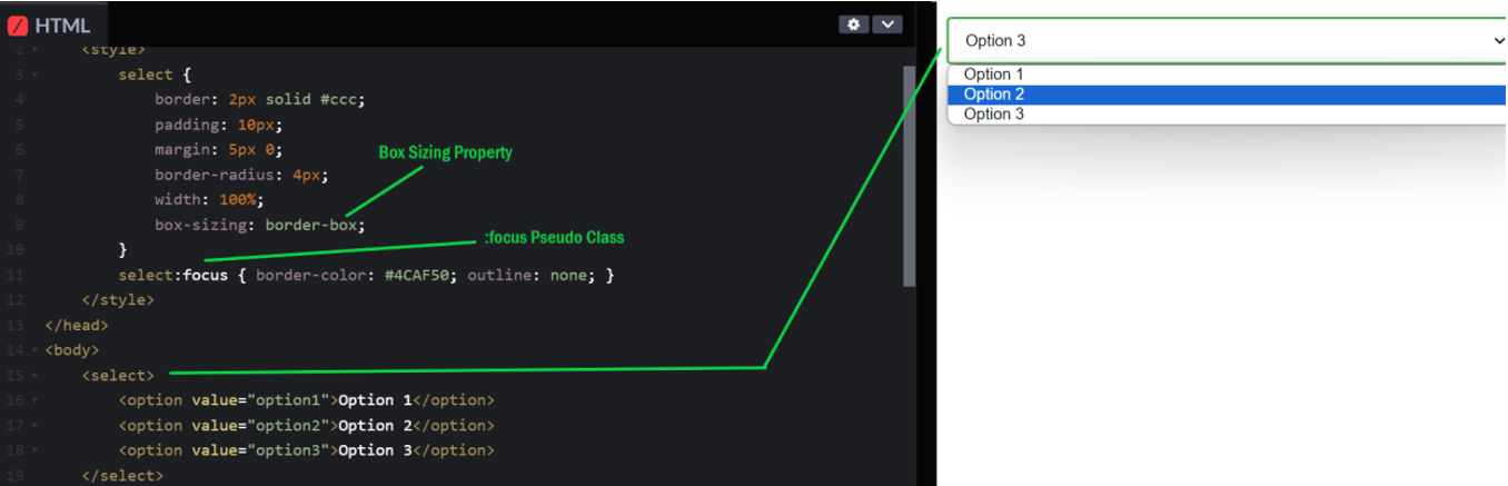 Learn CSS Form Styling: Free Course & Simple Examples