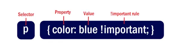 css-important-How-to-Use-!important