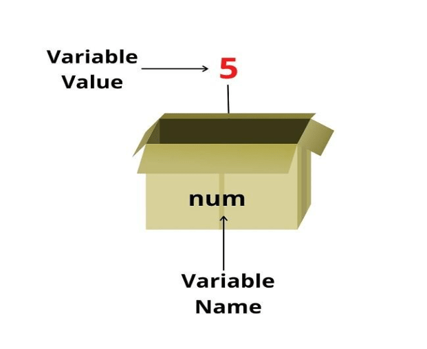 JS Variables