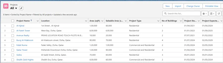 Check-the-Data-in-Salesforce