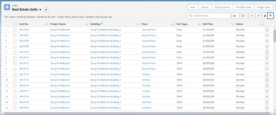 Check-the-Data-in-Salesforce