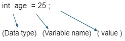 Declare-Variable-and-Initialization-Value