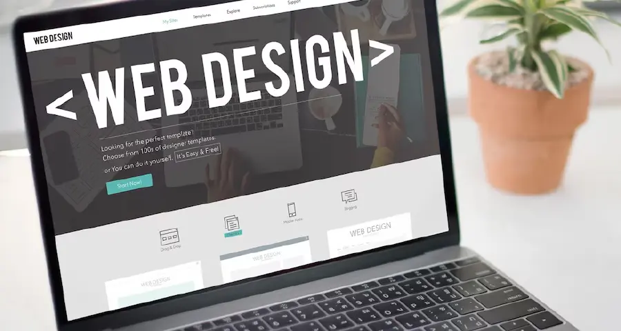 Web Development