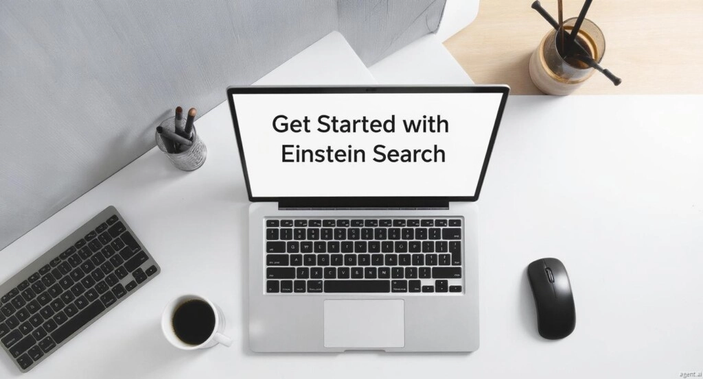 Get Started with Einstein Search