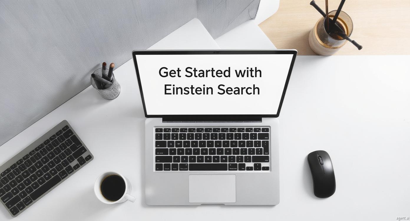Get Started with Einstein Search
