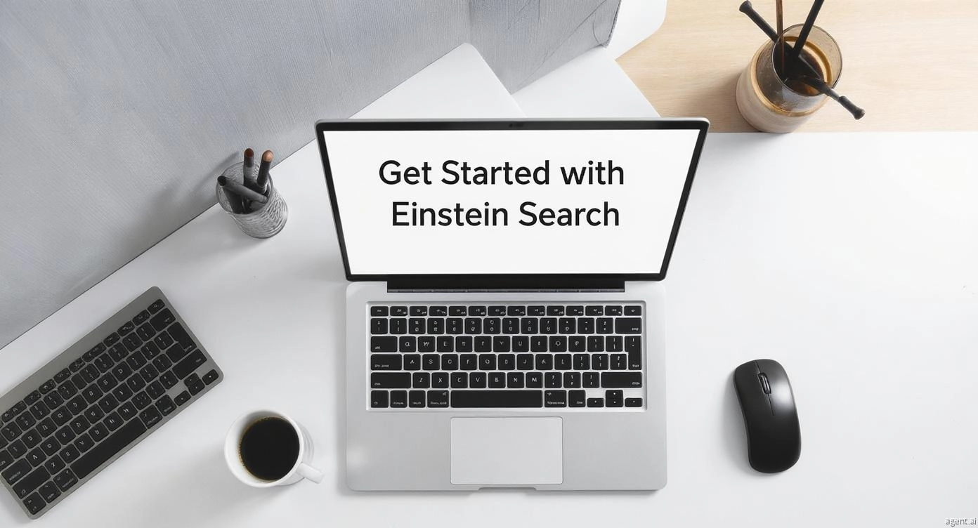 Get Started with Einstein Search